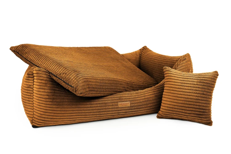 RIMINI MUSTARD 2_wynik.webp