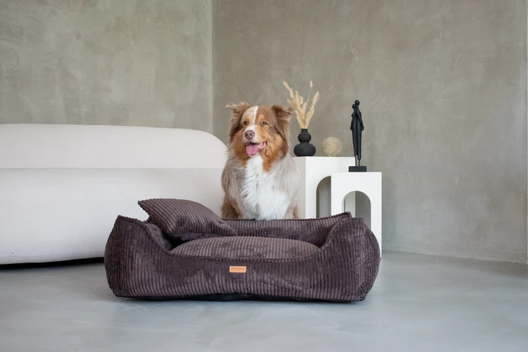 DSC_0019 2_wynik.webp