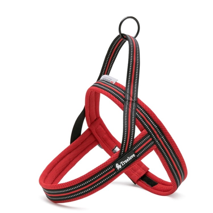 5241.jpg