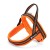 5240.jpg